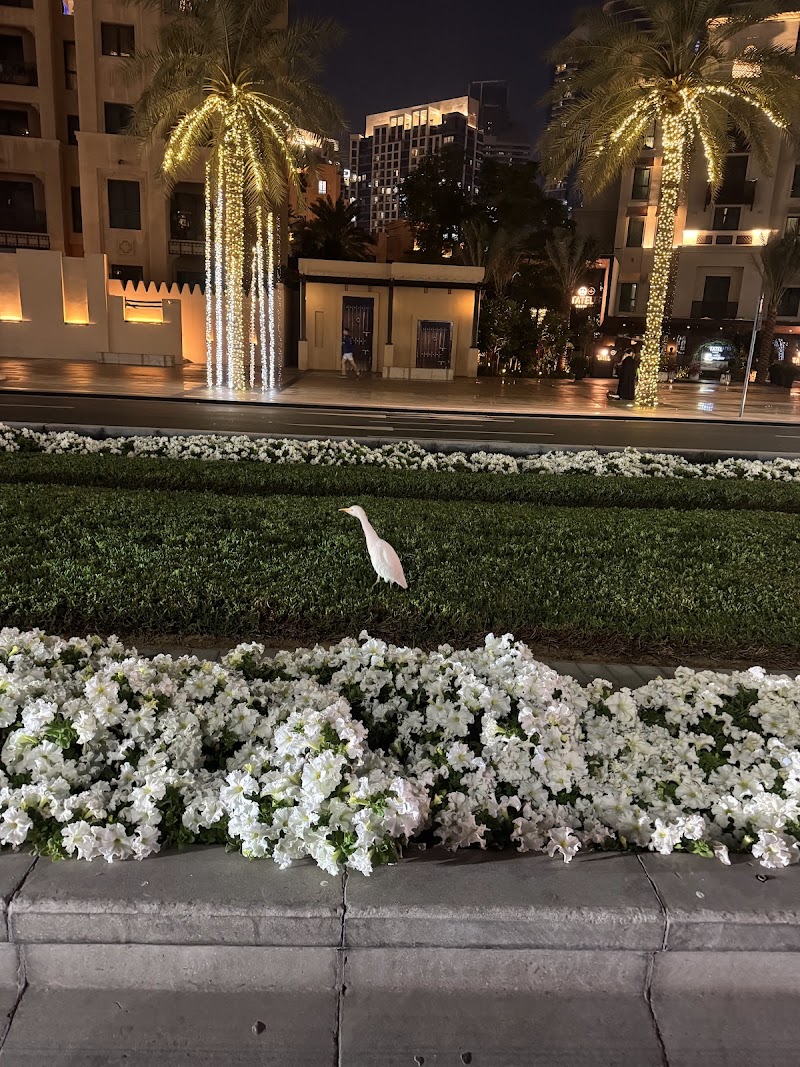 تصویر شماره 9