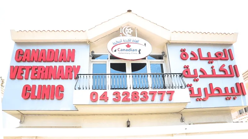 Canadian Veterinary Clinic | Dubai