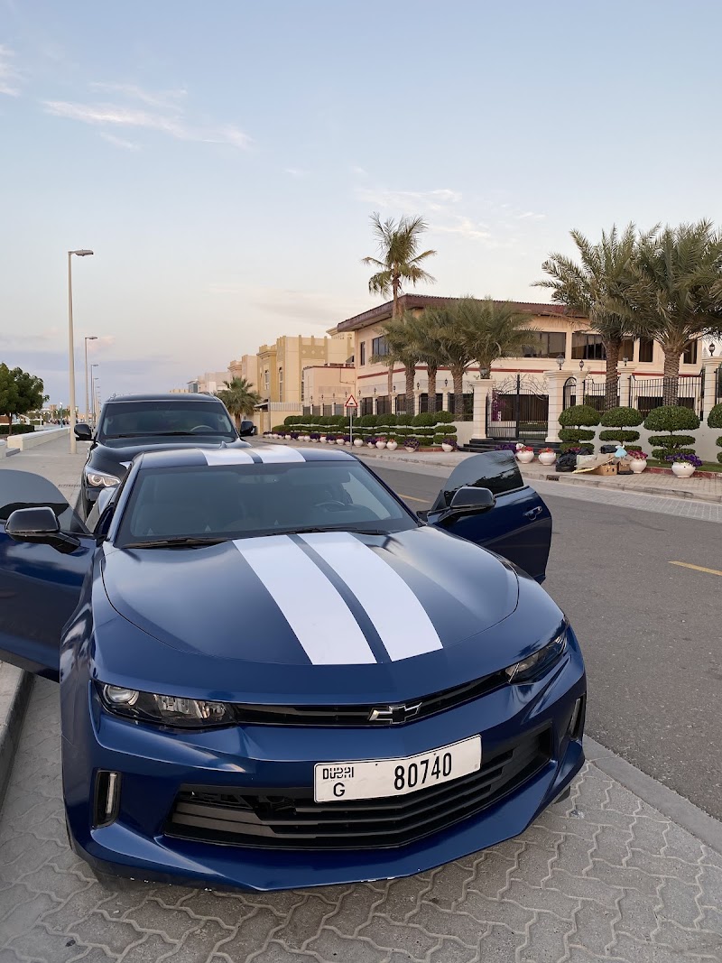 تصویر شماره 8