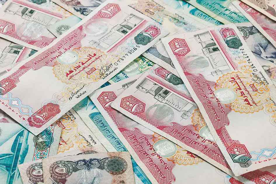 وام تا ۵۰۰ هزار درهم برای کسب‌وکارهای کوچک امارات با معرفی بوتیم